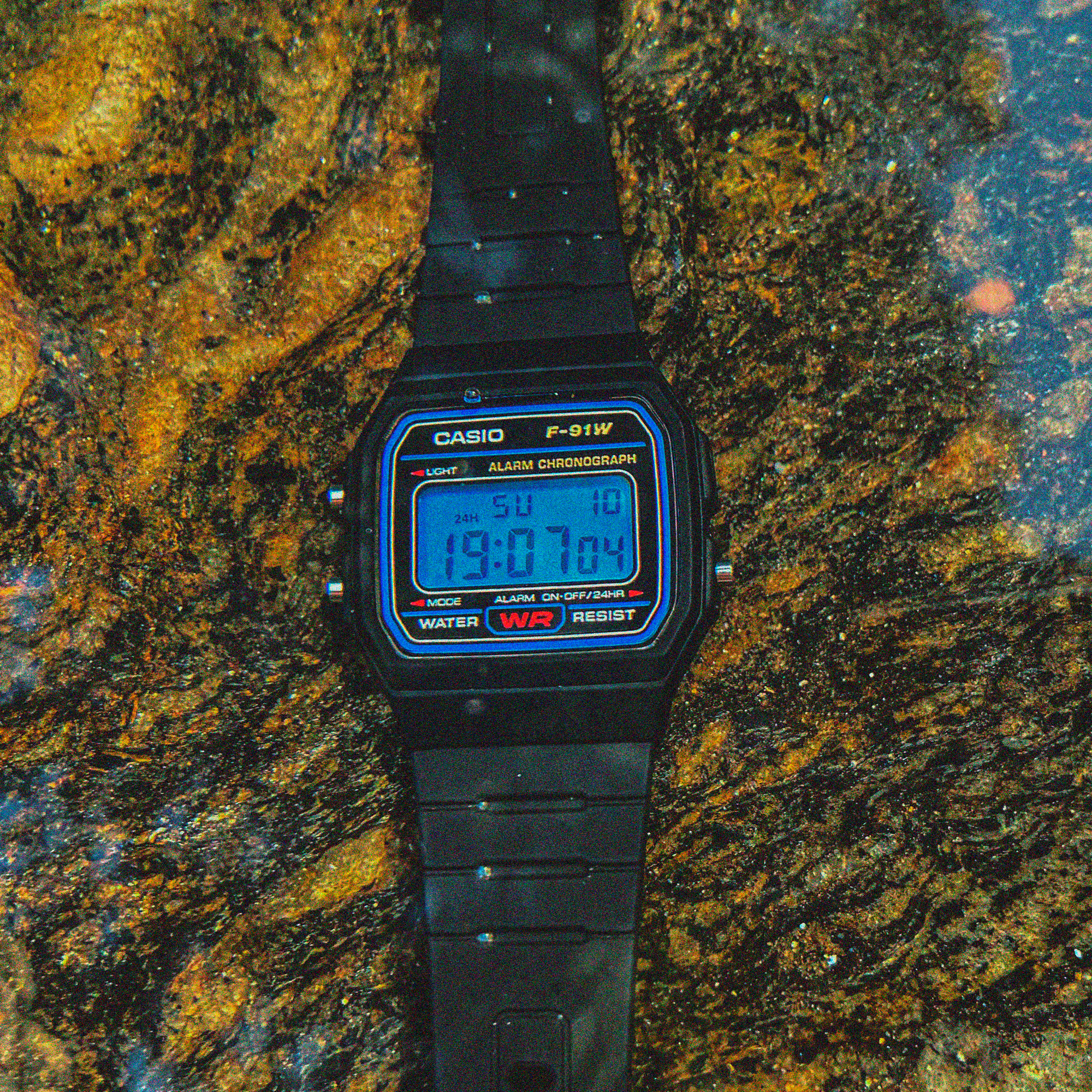 "Oceano" Casio F-91W-1
